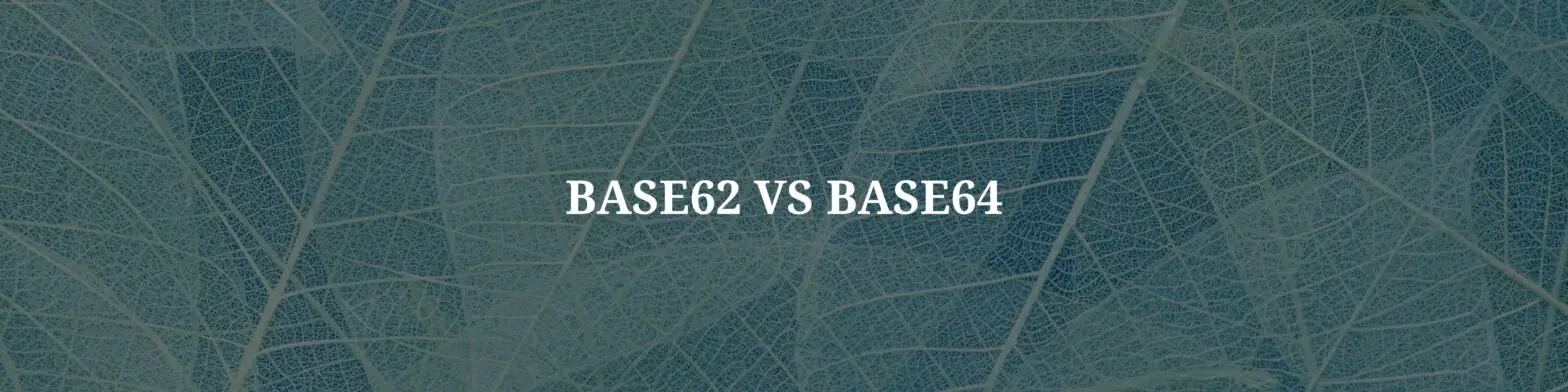 Base62 vs Base64: Comparing Encoding Schemes