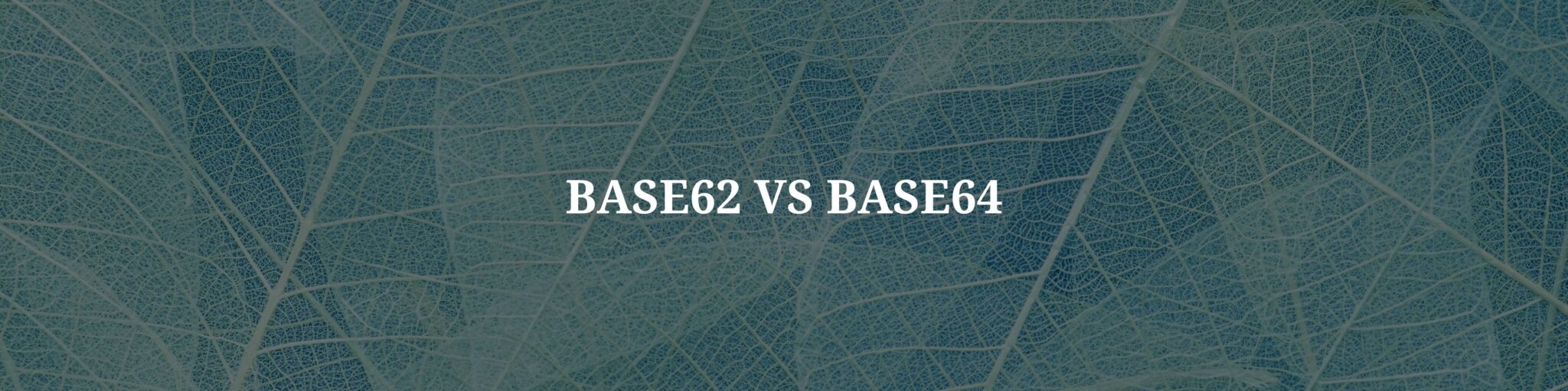 Base62 vs Base64: Comparing Encoding Schemes - B64Encode